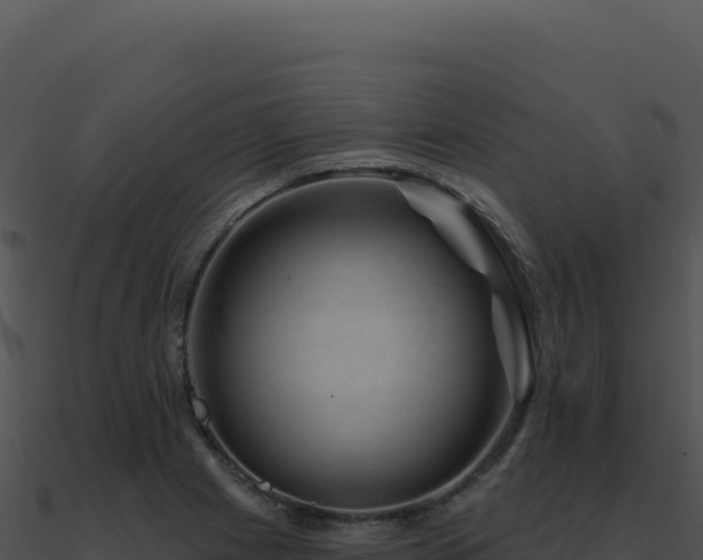 X0000091001225200708021553
