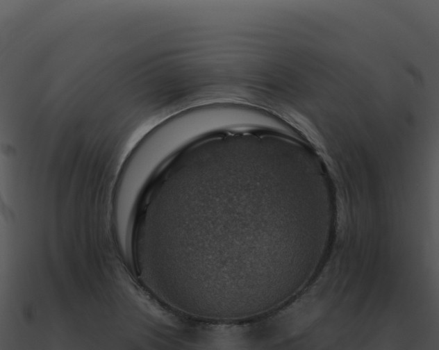 X0000091001226200708021553
