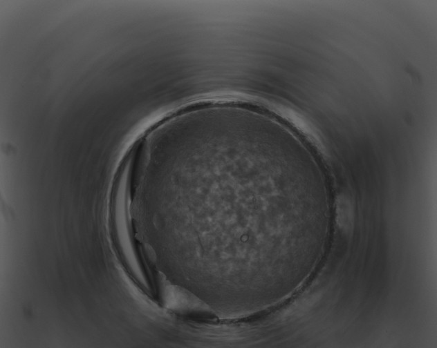 X0000091001229200708021553