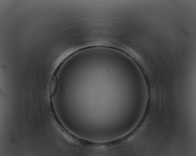 X0000091001230200708021553