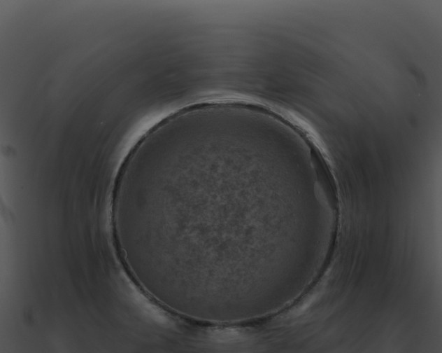 X0000091001231200708021553