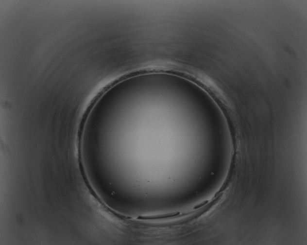 X0000091001232200708021553