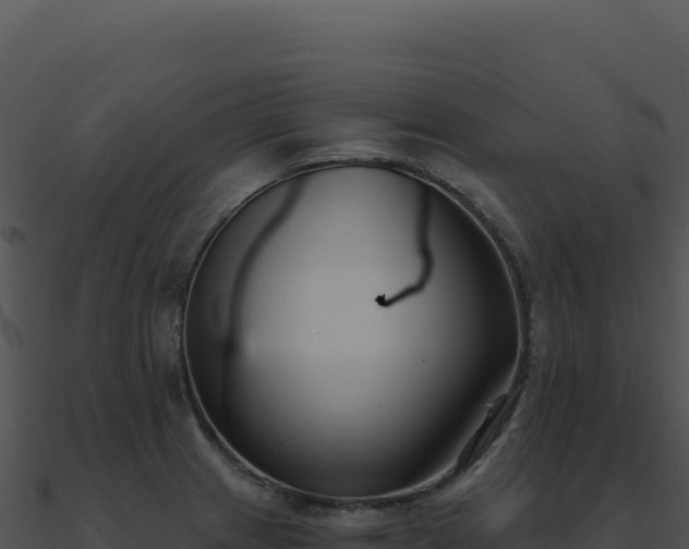 X0000091001233200708021553