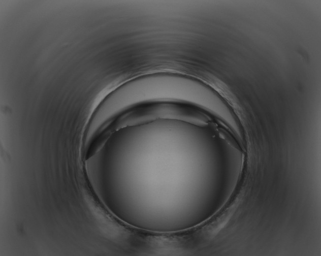 X0000091001234200708021553