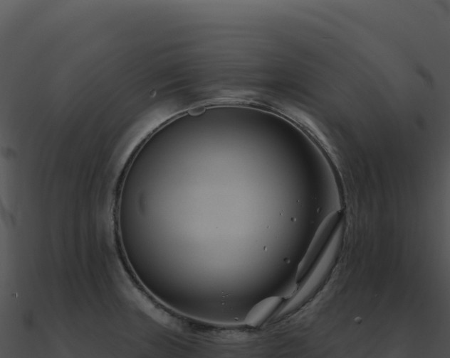 X0000091001235200708021554