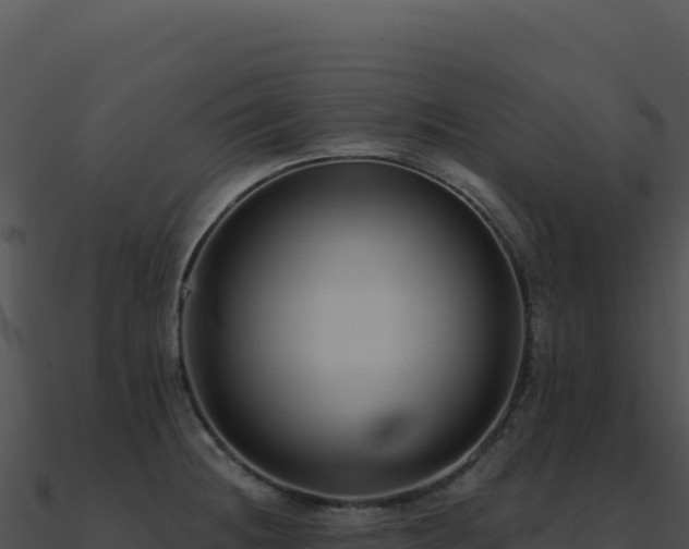 X0000091001236200708021554