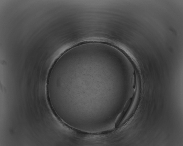 X0000091001237200708021554