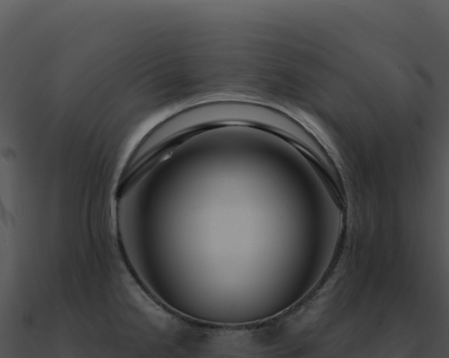 X0000091001238200708021554