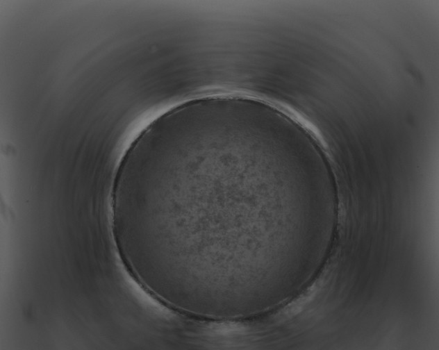 X0000091001239200708021554