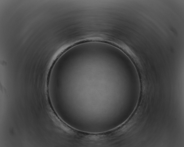 X0000091001240200708021554