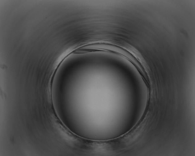 X0000091001242200708021554