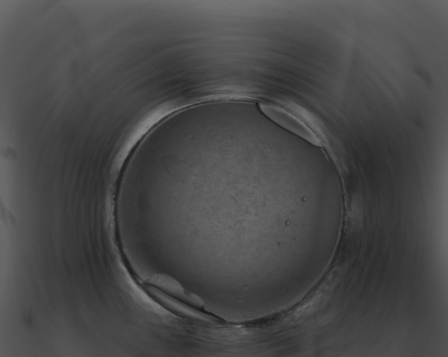 X0000091001243200708021554
