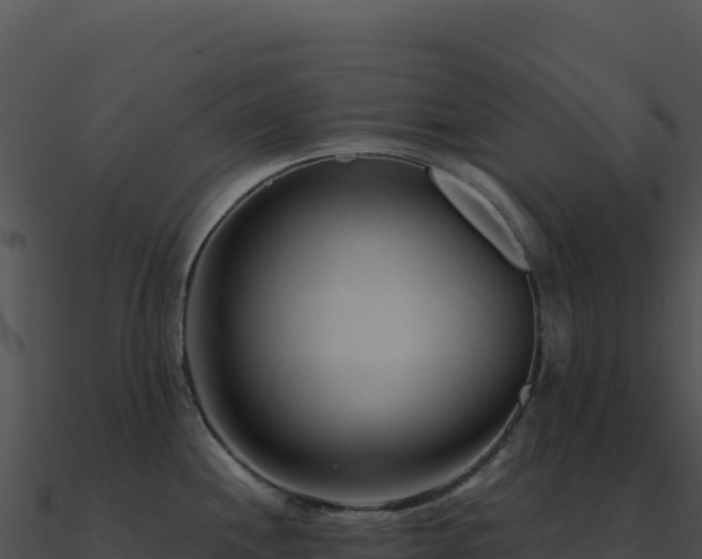 X0000091001244200708021554