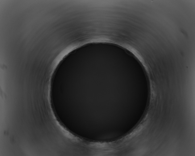 X0000091001245200708021554