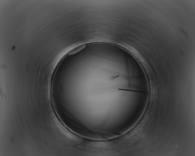 X0000091001246200708021554