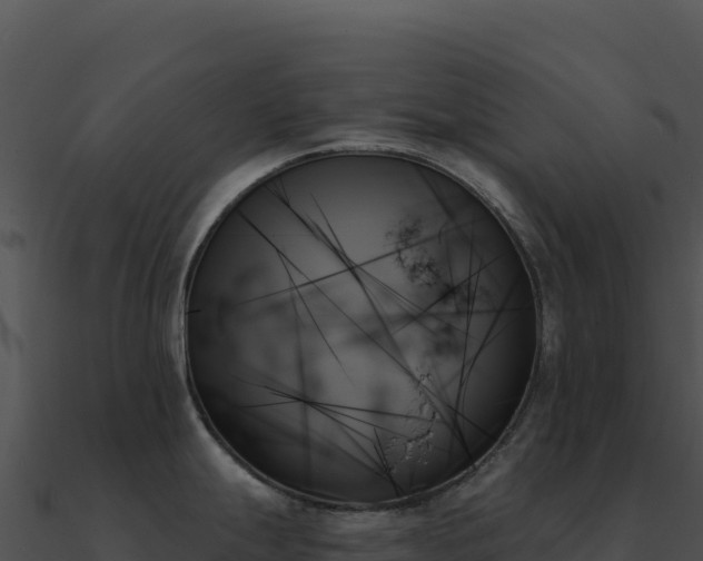 X0000091001247200708021554