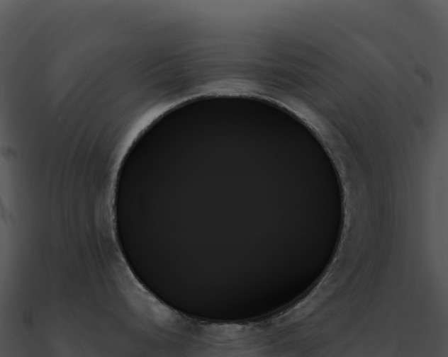 X0000091001248200708021554