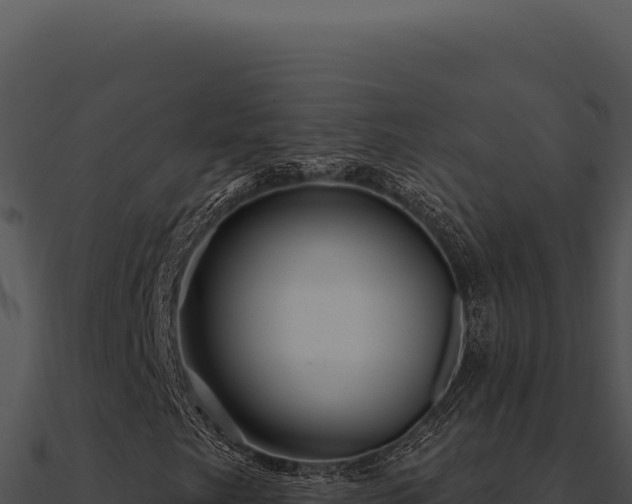 X0000091001249200708021553