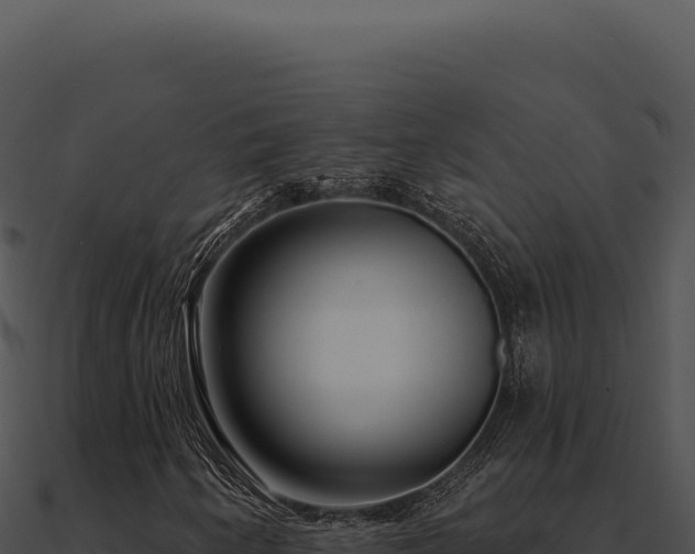 X0000091001250200708021553