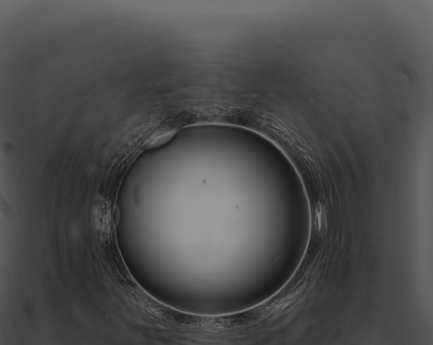 X0000091001251200708021553