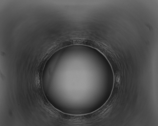 X0000091001252200708021553