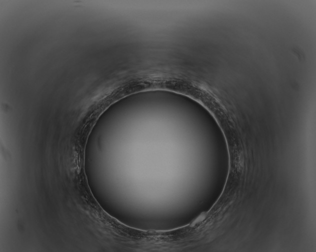 X0000091001253200708021553