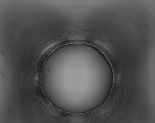 X0000091001254200708021553