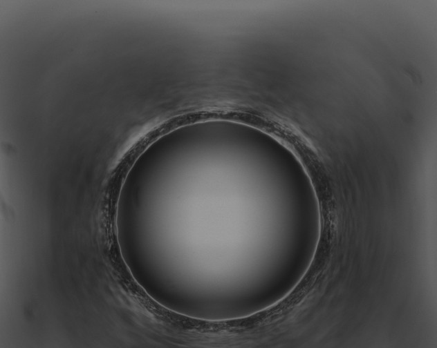X0000091001256200708021553