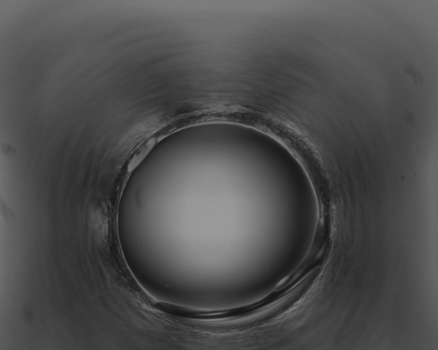 X0000091001257200708021553