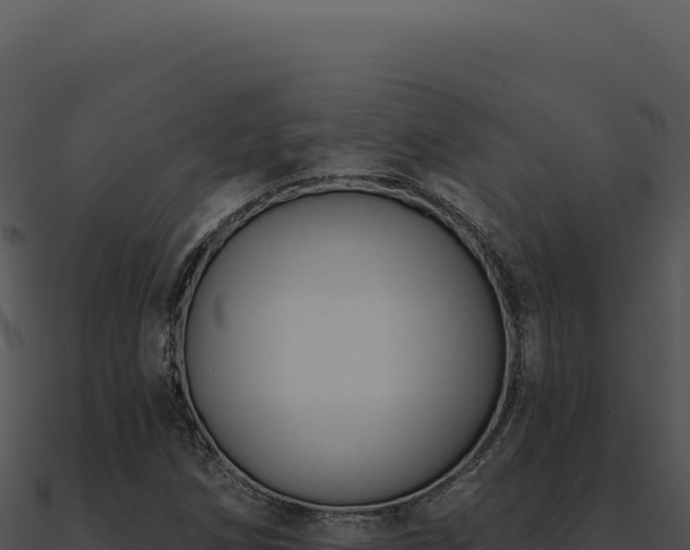 X0000091001258200708021553