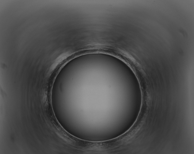 X0000091001259200708021553