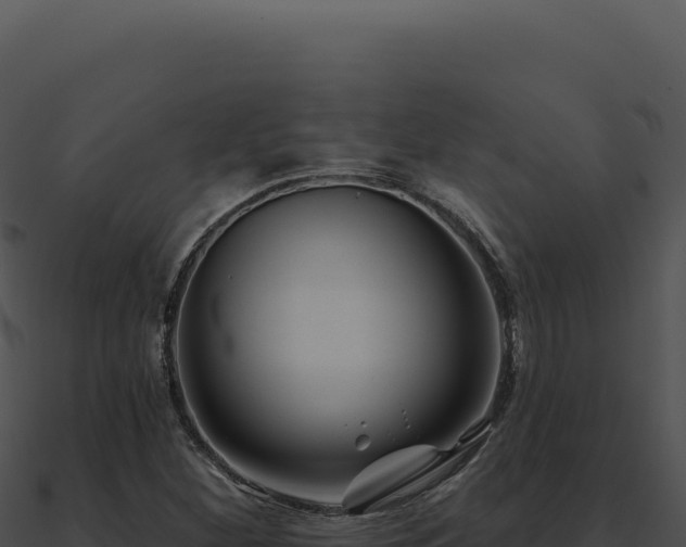 X0000091001260200708021553