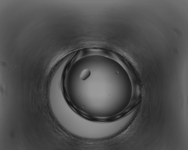 X0000091001261200708021553