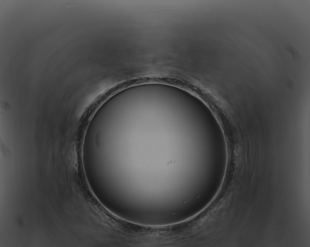 X0000091001262200708021553