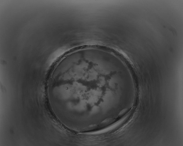 X0000091001263200708021553