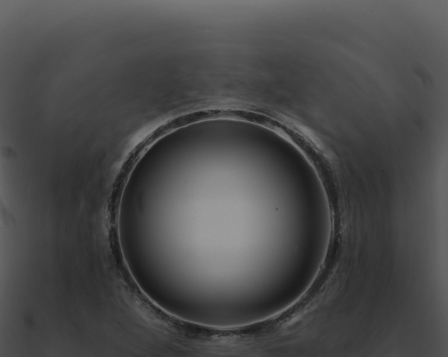 X0000091001264200708021553