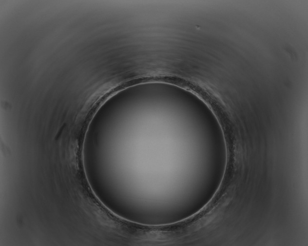 X0000091001265200708021553