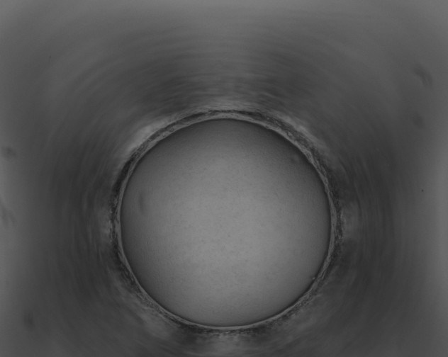 X0000091001266200708021553