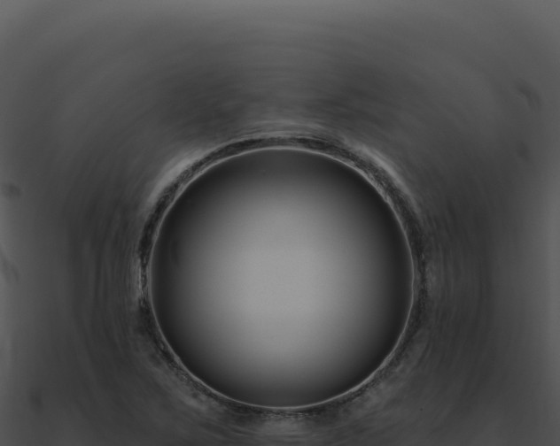 X0000091001267200708021553