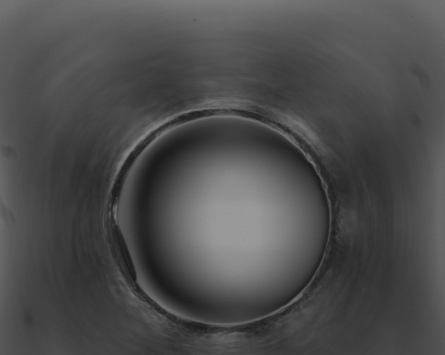 X0000091001268200708021553