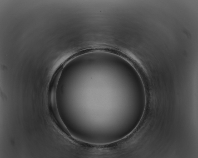 X0000091001269200708021553