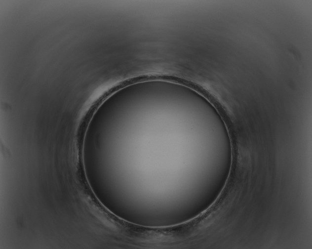 X0000091001270200708021553