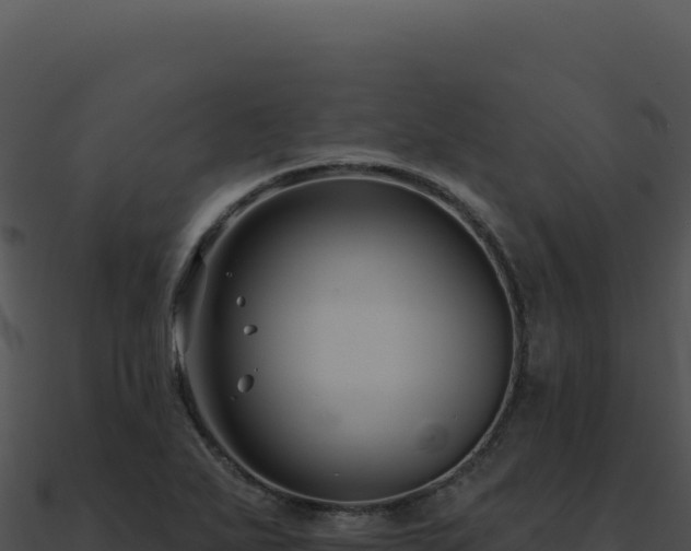 X0000091001271200708021553