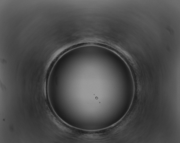 X0000091001272200708021553