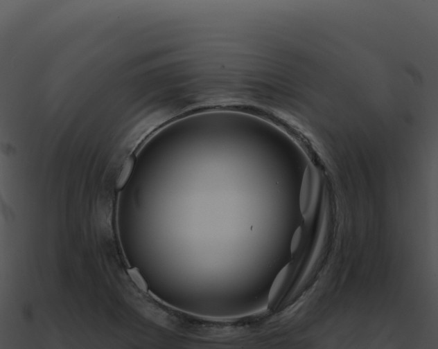 X0000091001273200708021553