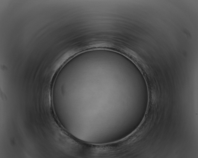 X0000091001274200708021553