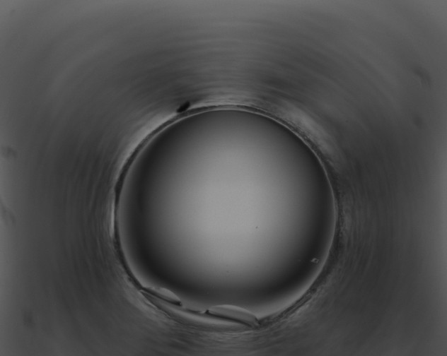 X0000091001276200708021553