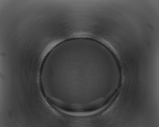X0000091001277200708021553
