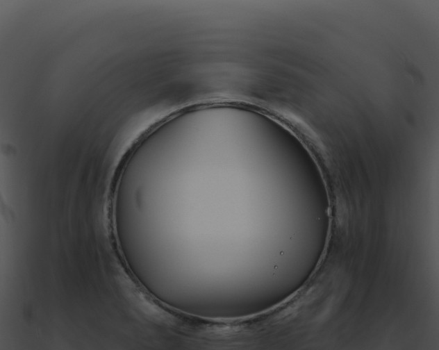 X0000091001278200708021553