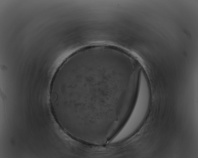 X0000091001279200708021553